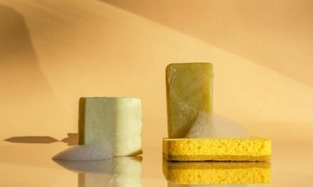 Eco-Friendly Cleaning: A How-To Guide on Choosing and Using Biodegradable Soaps